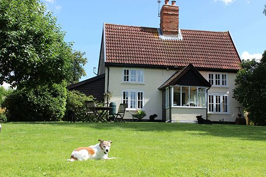 Maisie in the play paddock Maisie in the play paddock